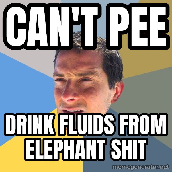 Bear Grylls meme: can't pee / drink fluids from elephant shit