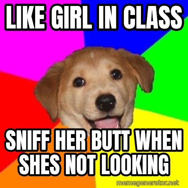 Advice Dog meme: like girl in class / sniff her butt when shes not looking