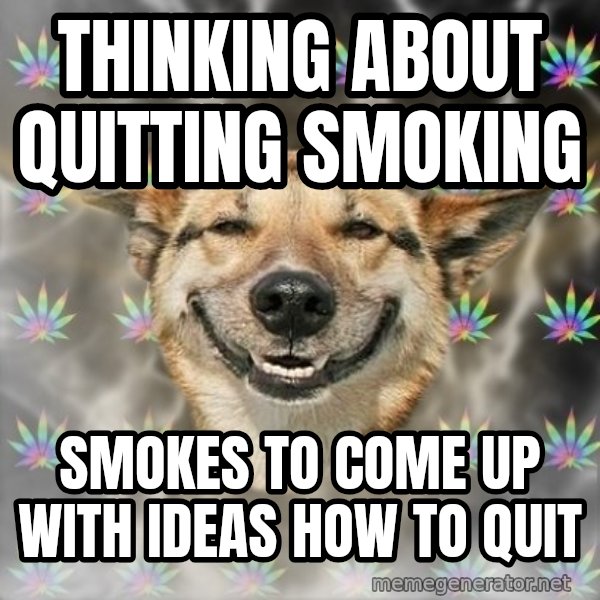 Stoner Dog meme: thinking about quitting smoking / smokes to come up with ideas how to quit