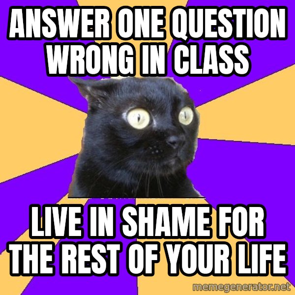 Anxiety Cat meme: answer one question wrong in class / live in shame for the rest of your life