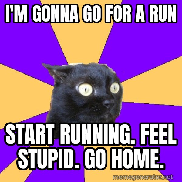 Anxiety Cat meme: I'm gonna go for a run / start running. feel stupid. go home.