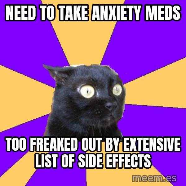 Anxiety Cat meme: NEED TO TAKE ANXIETY MEDS / TOO FREAKED OUT BY EXTENSIVE LIST OF SIDE EFFECTS