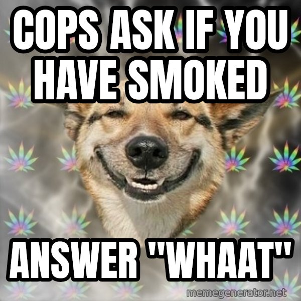 Stoner Dog meme: cops ask if you have smoked / answer ''whaat''