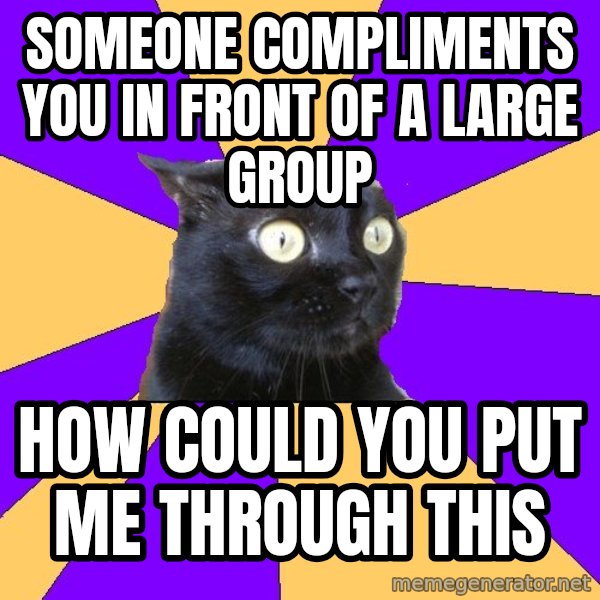 Anxiety Cat meme: someone compliments you in front of a large group / how could you put me through this