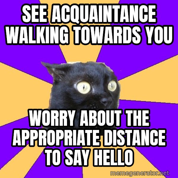 Anxiety Cat meme: see acquaintance walking towards you / worry about the appropriate distance to say hello