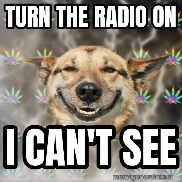 Stoner Dog meme: Turn THE RADIO ON / I can't SEE