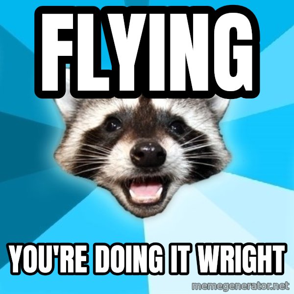 Lame Pun Coon meme: Flying / you're doing it wright