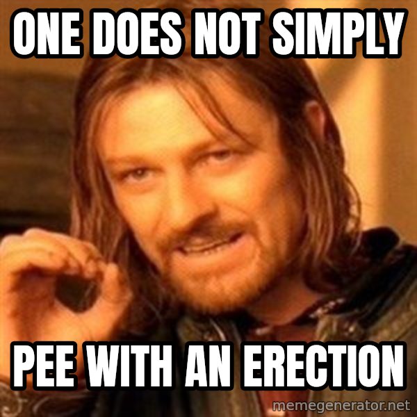 One Does Not Simply meme: one does not simply / pee with an erection