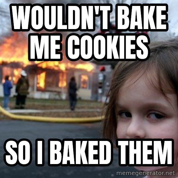 Disaster Girl meme: wouldn't bake me cookies / so i baked them