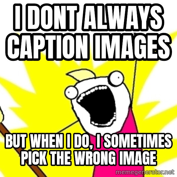 X ALL THE THINGS meme: i dont always caption images / but when i do, i sometimes pick the wrong image