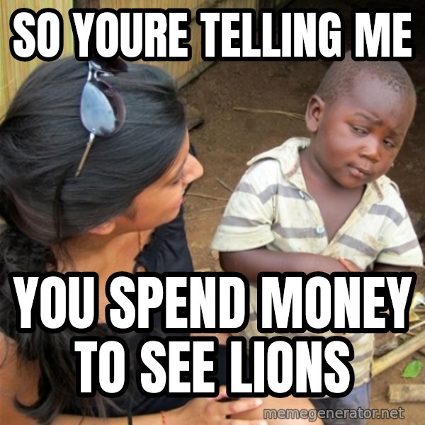 So You're Telling me meme: so youre telling me / you spend money to see lions