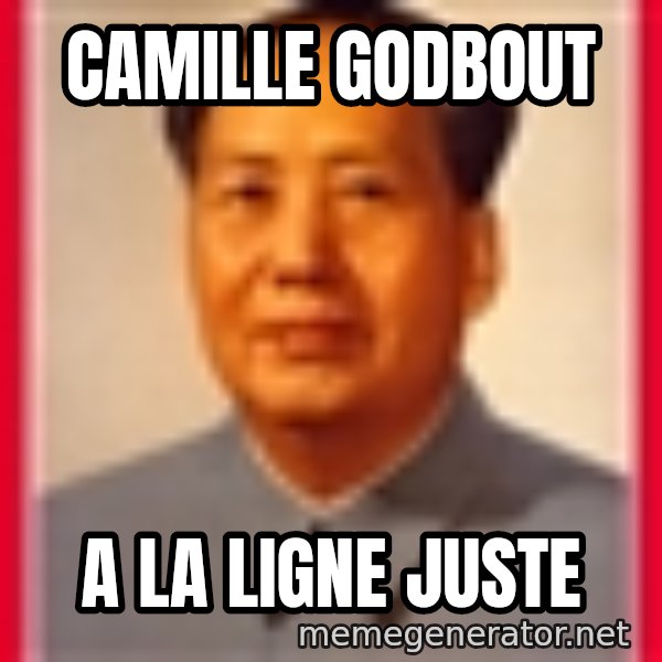 Mao meme: Camille Godbout / a la ligne juste