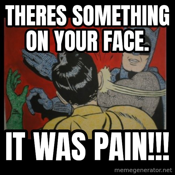 batman slap robin meme: Theres something on your face. / It WAS PAin!!!