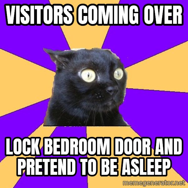 Anxiety Cat meme: Visitors coming over / lock bedroom door and pretend to be asleep