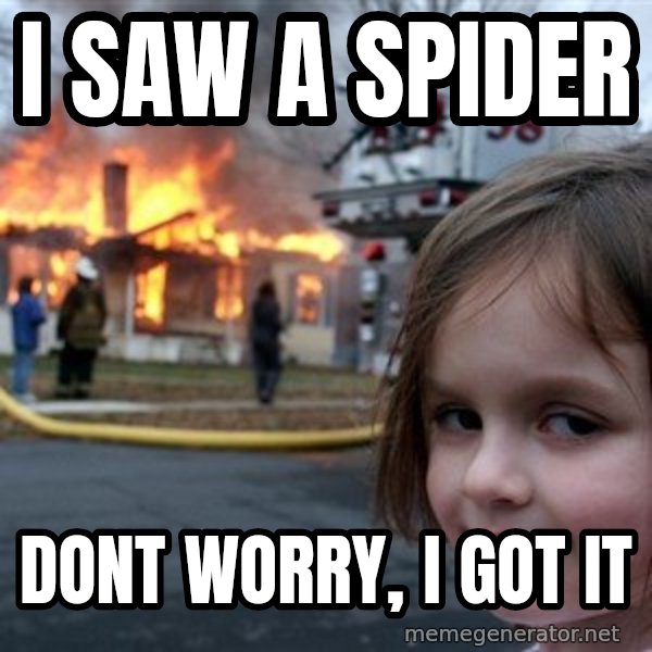 Disaster Girl meme: i saw a spider / dont worry, i got it