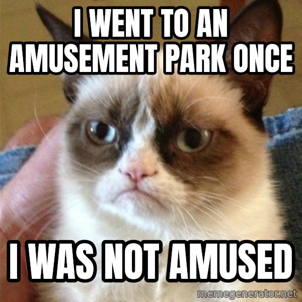 Grumpy Cat  meme: I WENT TO AN AMUSEMENT PARK ONCE / I WAS NOT AMUSED