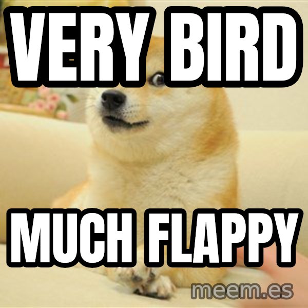 so doge meme: very bird / much flappy