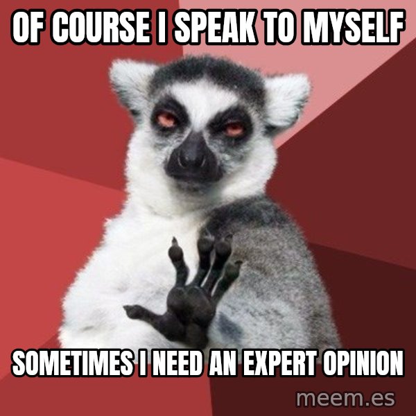 Chill Out Lemur meme: Of course I speak to myself / Sometimes I need an expert opinion