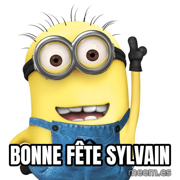 Despicable Me Minion meme: Bonne fête sylvain