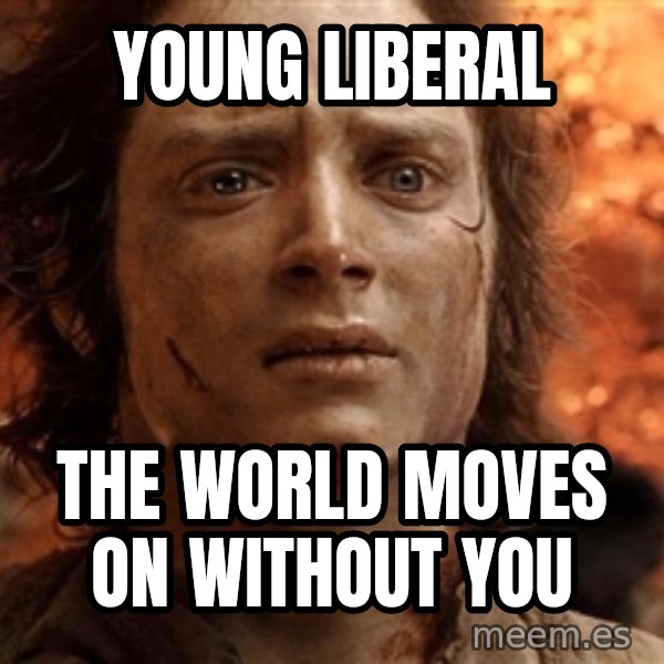 Frodo  meme: young liberal / the world moves on without you