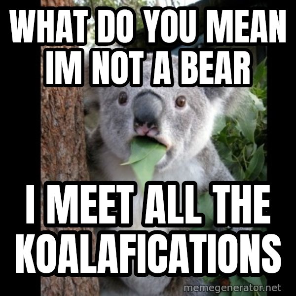 Koala can't believe it meme: what do you mean im not a bear / i meet all the koalafications