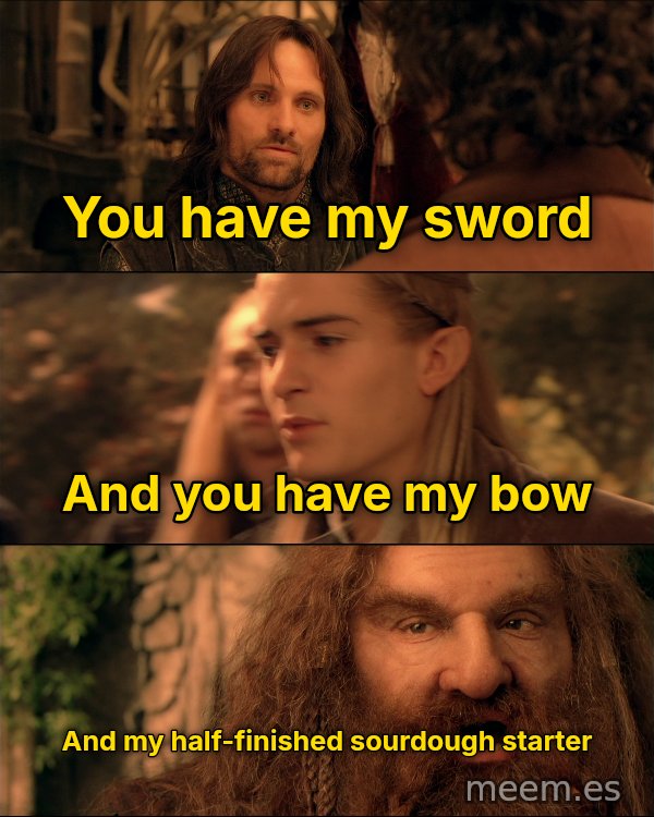 You Have My Sword, Bow and Axe meme: You have my sword / And you have my bow / And my half-finished sourdough starter