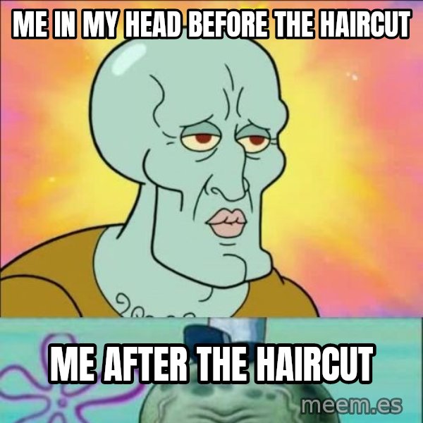 Handsome Squidward meme: Me in my head before the haircut / me after the haircut