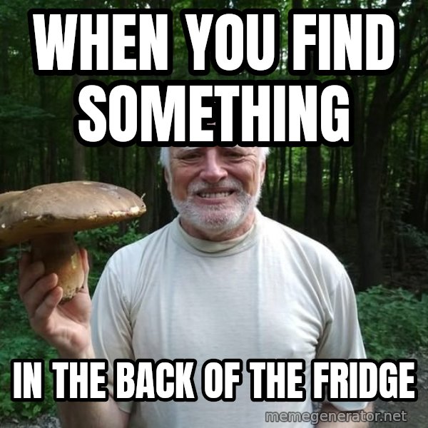 Harold's Mushroom meme: When you find something / in the back of the fridge