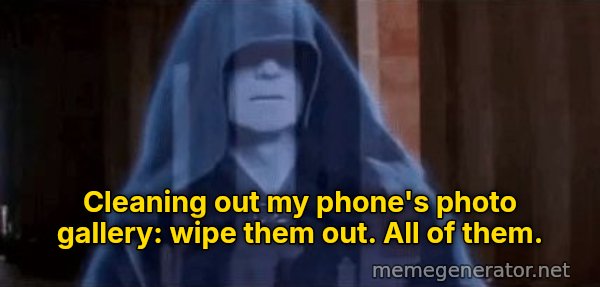 Wipe Them Out, All of Them meme: Cleaning out my phone's photo gallery: wipe them out. All of them.