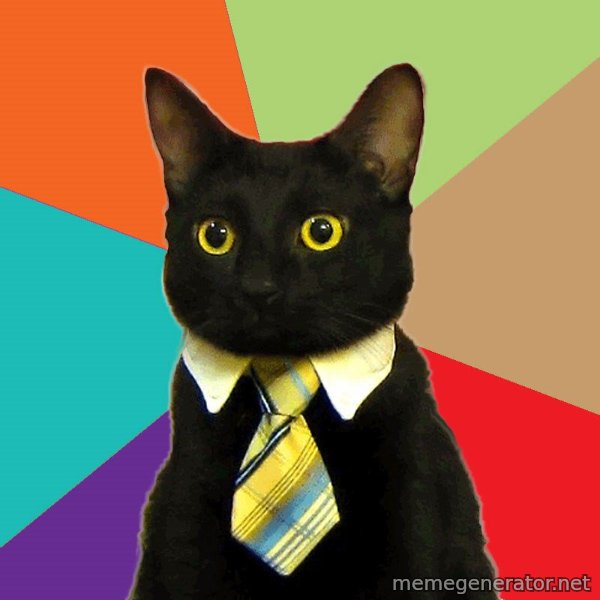 Business Cat meme template