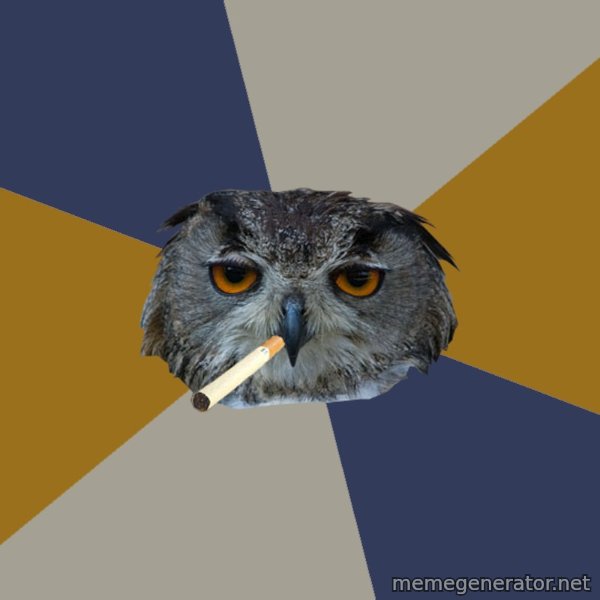 Art Student Owl meme template